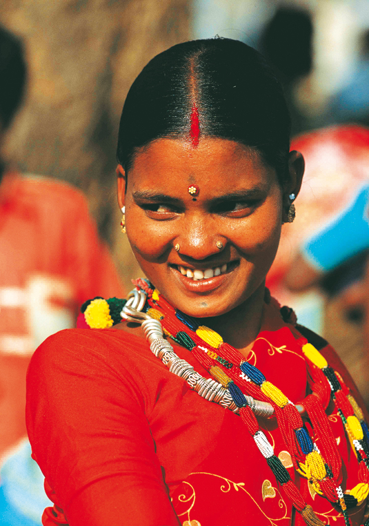 Chhattisgarh Dance and Music
